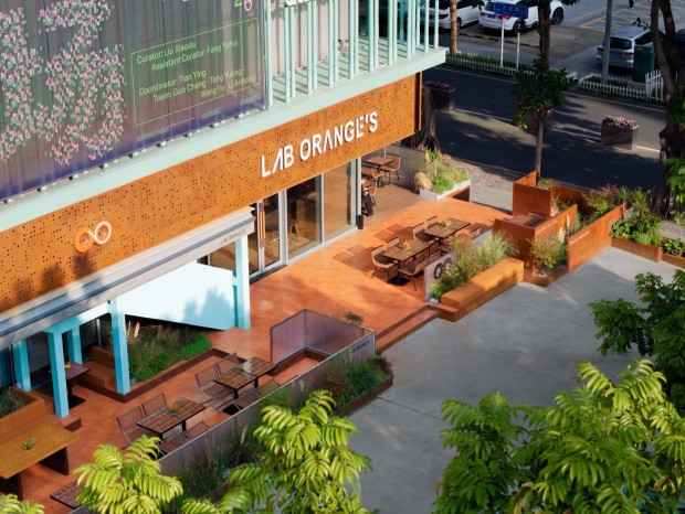 ҽ | Lab Oranges