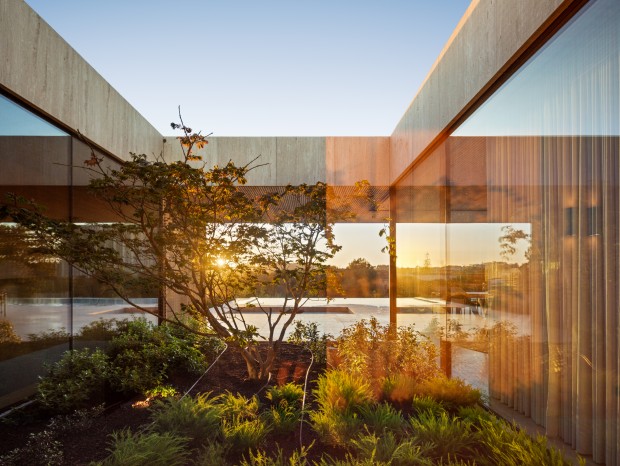 Ernesto Pereira����˹�С������� | AirOuse