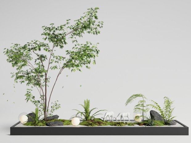 现代庭院小品 室内景观造景 景观植物 植物堆 微地形 蕨类植物
