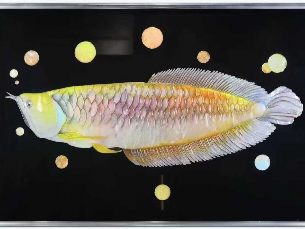 ƽ�����������Ųʹһ�ϵ��