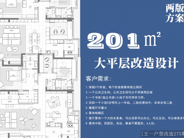 (һ͸275)201Oƽ淽