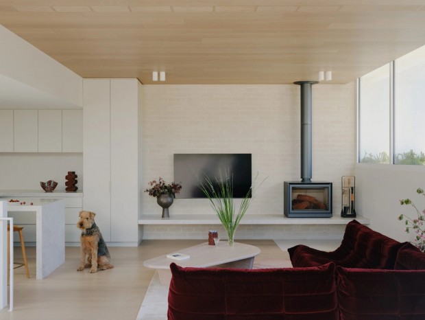 Tom Robertson Architects | Monty