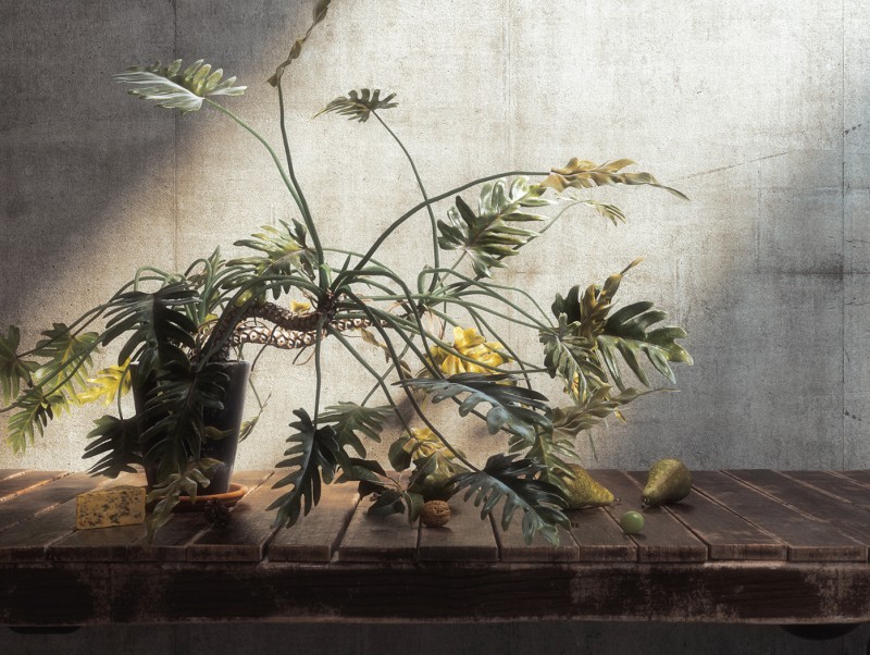 ������Ⱦ�����µ�ɫ��