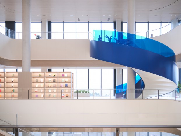 ���ڽ��� | �ɾƼ���Ʒ���о�Ժ