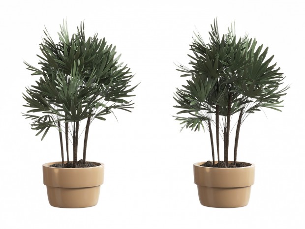 ֲִ辰 ֲװΰڼ ֦԰ڼ ջ մɻڼ