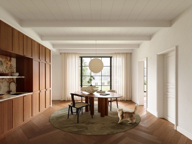 �ν��Ӿ�VISION-רע����