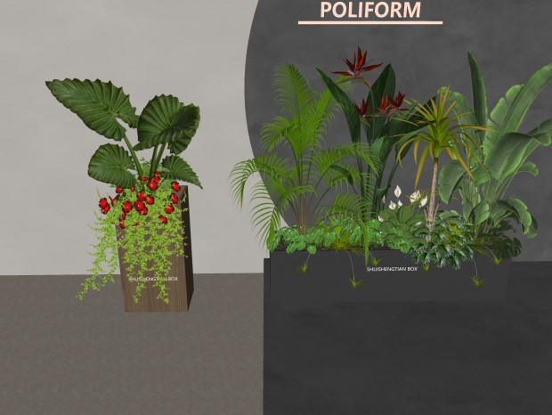 ֲֲ ֲ侰쾰 ֲֲ ƶػ̳