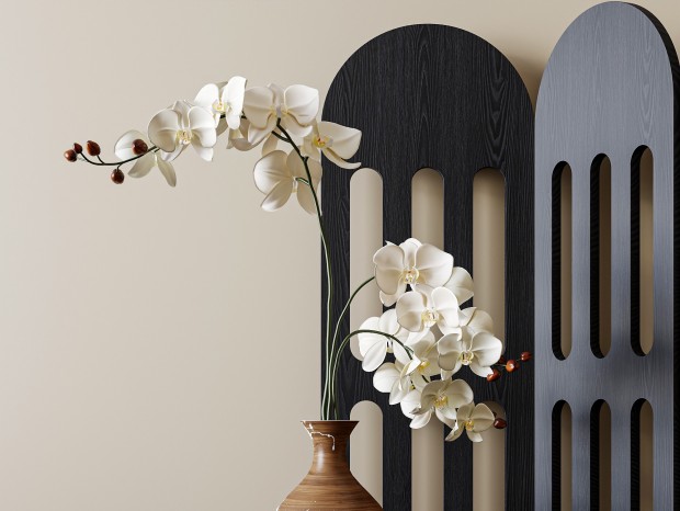 ƿ װΰڼ  Ҷƿ ֲֲ ֧