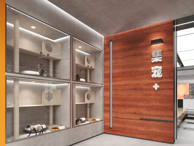 ��������حèè�ռ�