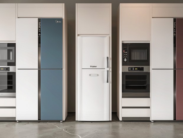 现代冰箱柜、冰箱、嵌入式冰箱、双开门冰箱、烤箱、咖啡机、消毒柜