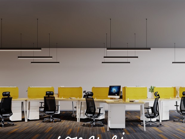 �칫����ơ������ʡ�����