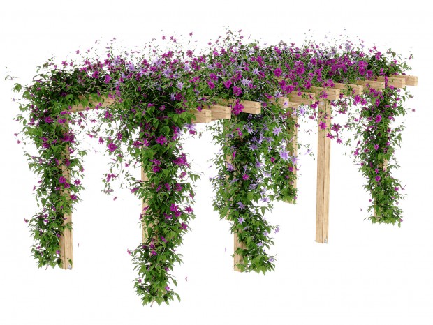 �ִ� �ȼ� ��ֲ�ȼ�