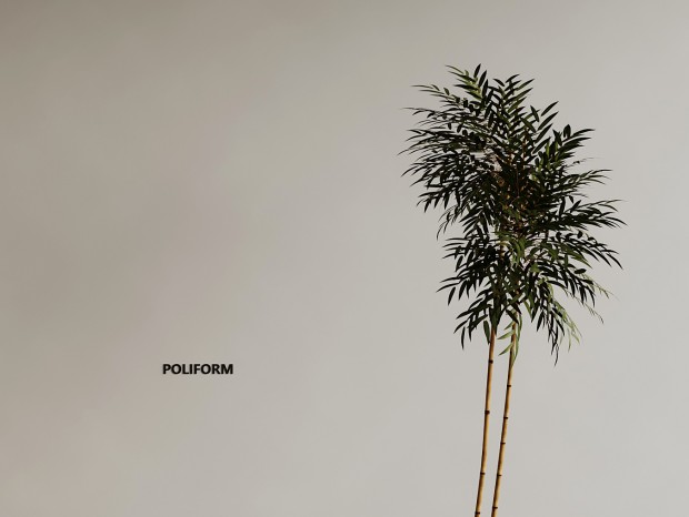 ����ʽ��ֲ����