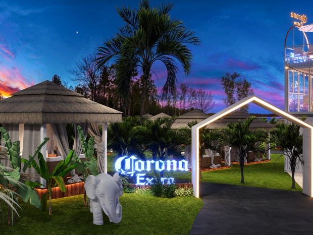 ����|����¶�����