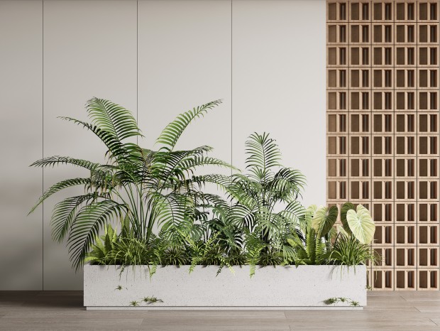 现代植物组合 景观植物堆 花箱盆景