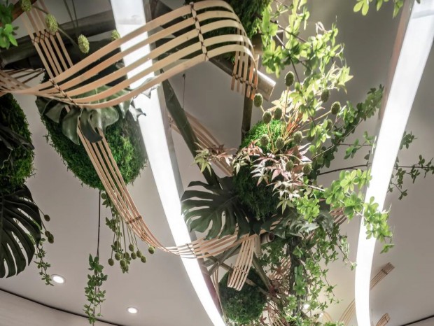 ������� | ��ï �� ����ά��Ծ����Ȼ������΢����̬����