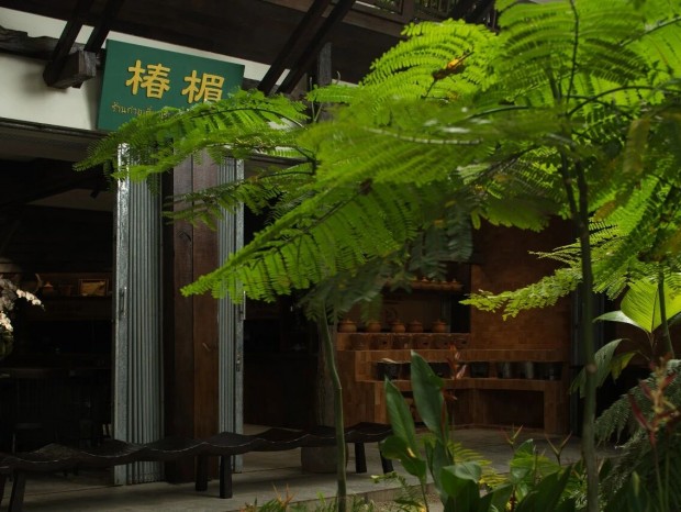 FUNS���ǿռ���� | ��鹷۵������ڰ��ɵ��ȴ��ɳ�