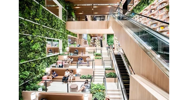 ������ҵδ�����ڣ������óϹ㳡��ҵ����������ɭ�������