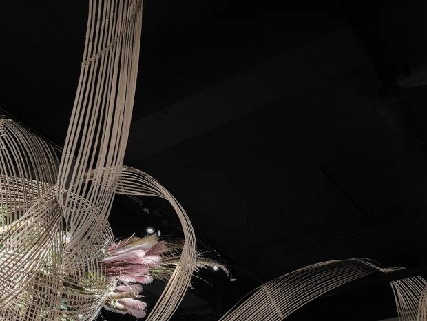 ��ҹ����||�;ư����