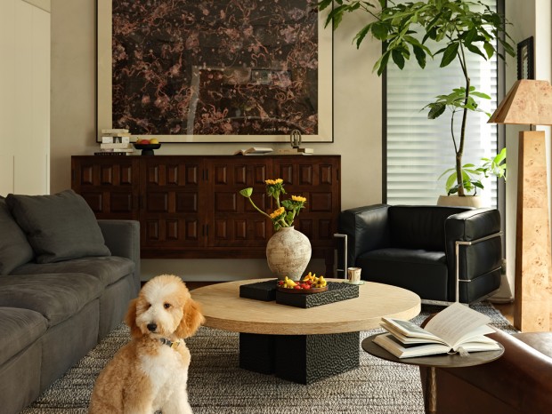 �������ռ���� | 350�O�һ�԰�������İ���������