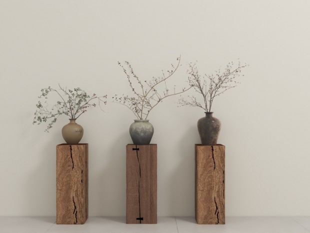 �йŸ�֦ ԭľ����