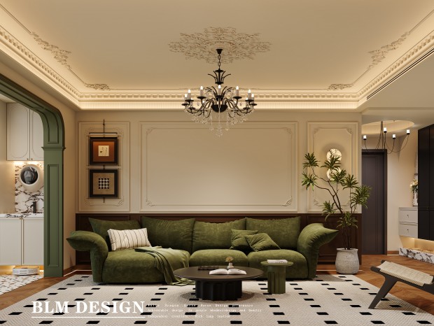 ��ʽ�йš���������Ч��ͼ