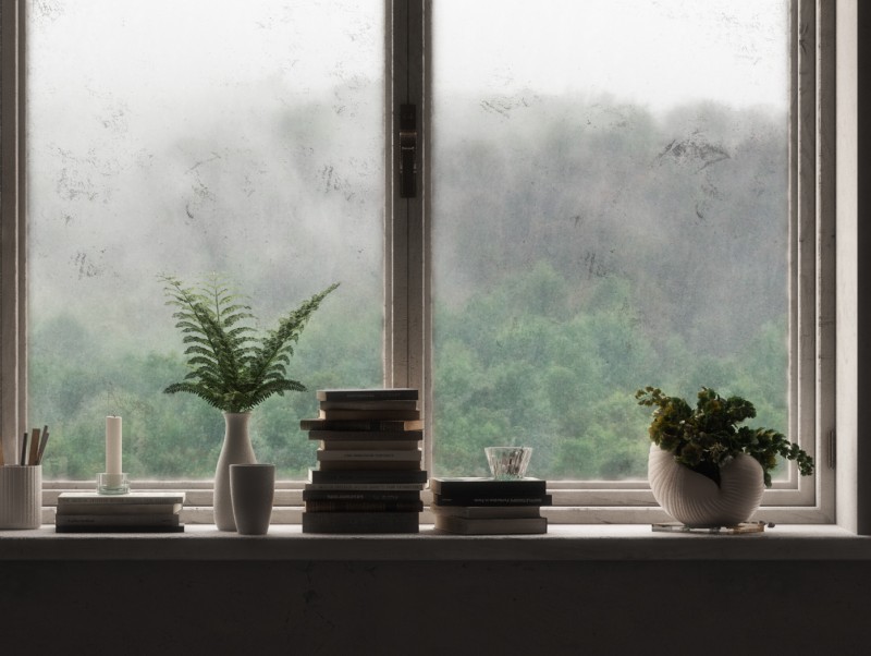 ������Ⱦ