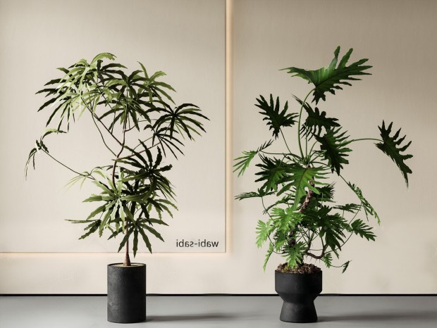 MAX2018�ִ�ֲ������