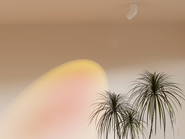 ִ  
