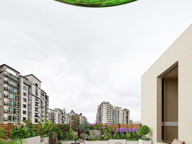 ԭľ + ��ɫ���ѡ������С�����ҵ�ÿ������