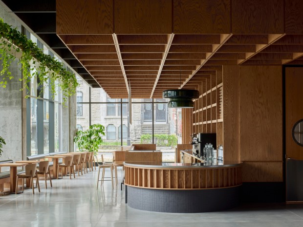 Sanaaq | Zebulon Perron