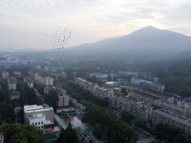 �Ƽ�԰ͼ���