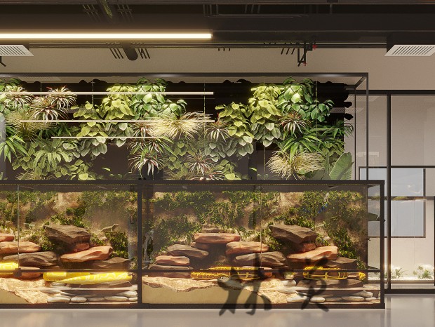 ��װ-���������