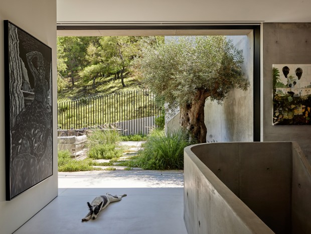 Kallos TurinحArt House