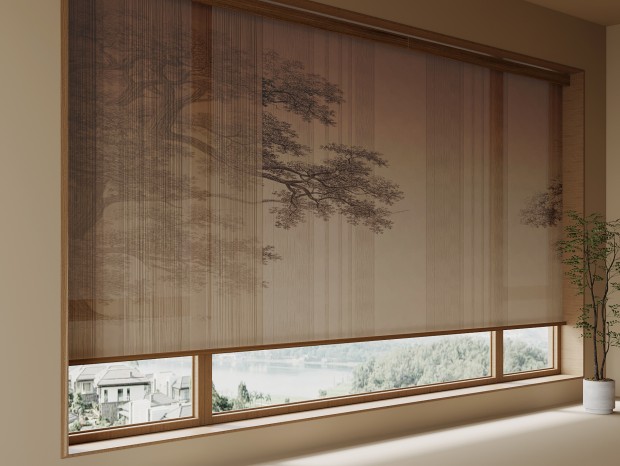 ����ʽ���� ����