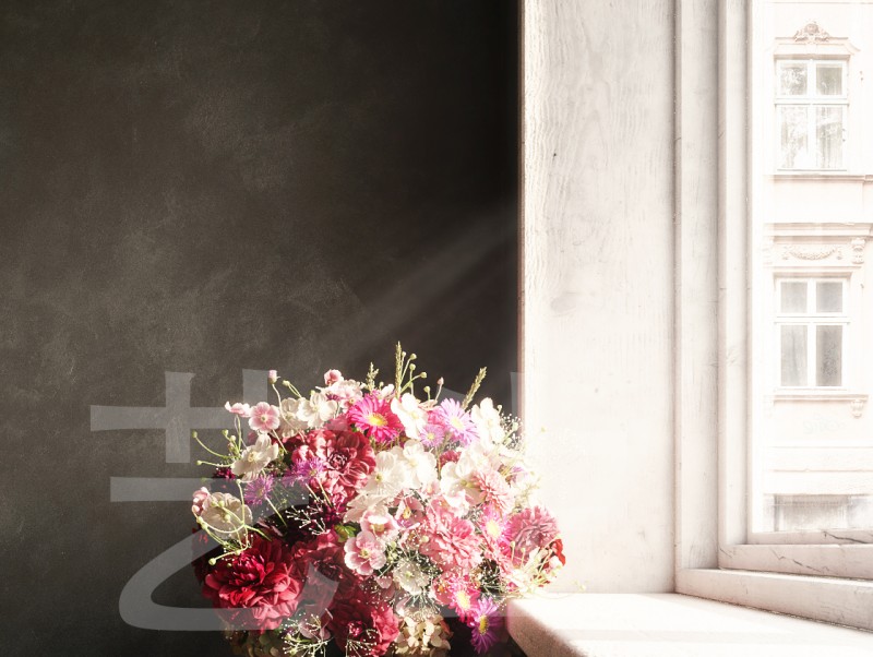 ������Ⱦ