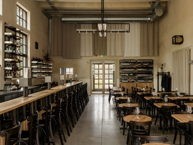 WIERCINSKI-STUDIO - BLACK CROCODILE �ư�