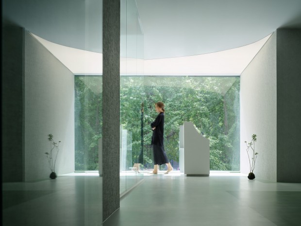 Studio GIMGEOSILحPalo Verde Aesthetic