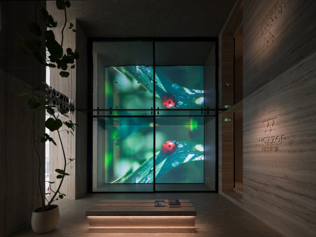 �������� | ��ɪϵͳ�Ŵ�չ�����������³�