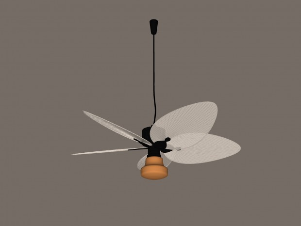 йŷ ȵ