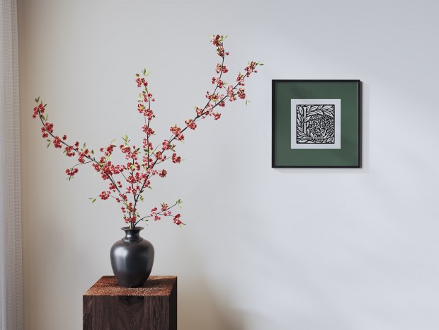 ����ʽ���� ��ƿ����