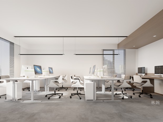 �칫�� | �տ����ʲ�ʧ���