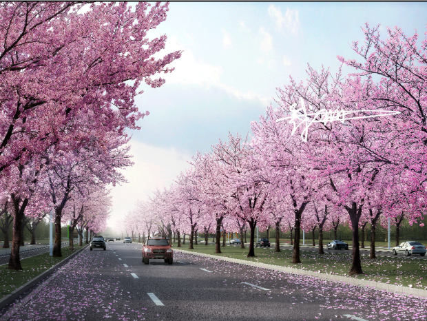 ����԰�����