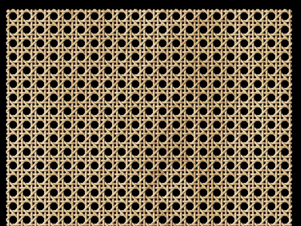 ִ˱