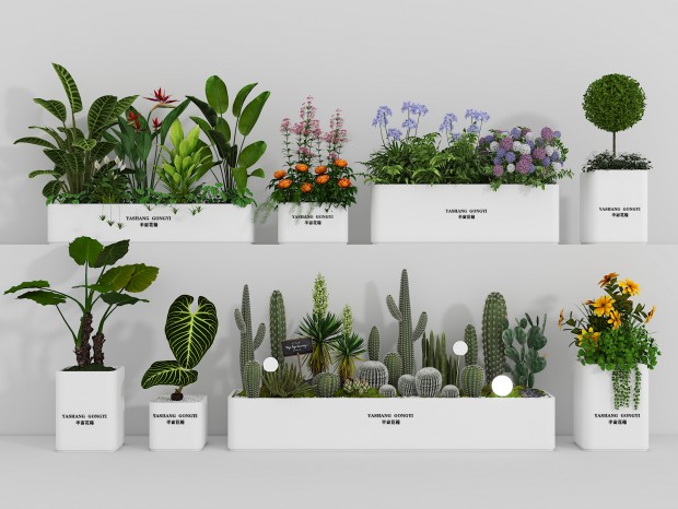 ��ڻ��� ���� ������ ���� ���ػ�̳ ֲ����� �����쾰 ֲ���