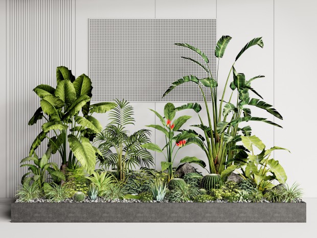 现代植物堆 景观植物 室内绿植