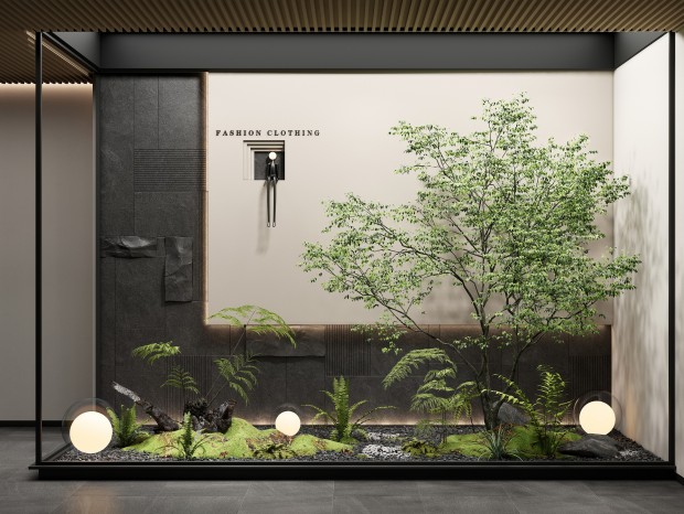现代庭院景观小品 室内造景 景观树 蕨类植物 背景墙