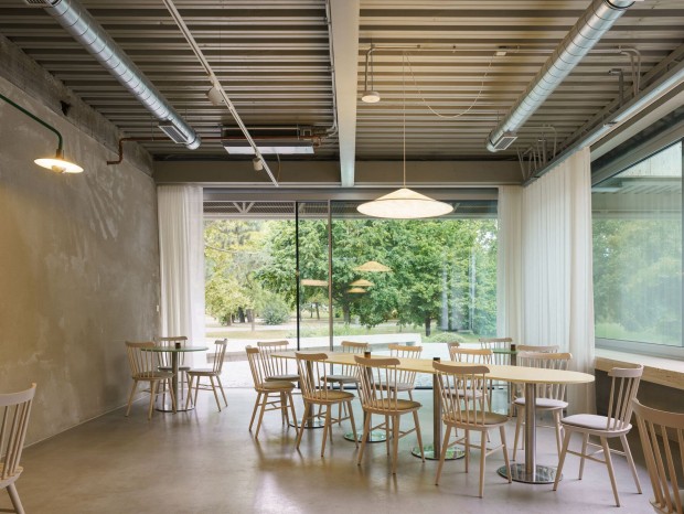 �ѵ��ϵ�С�ƹ����