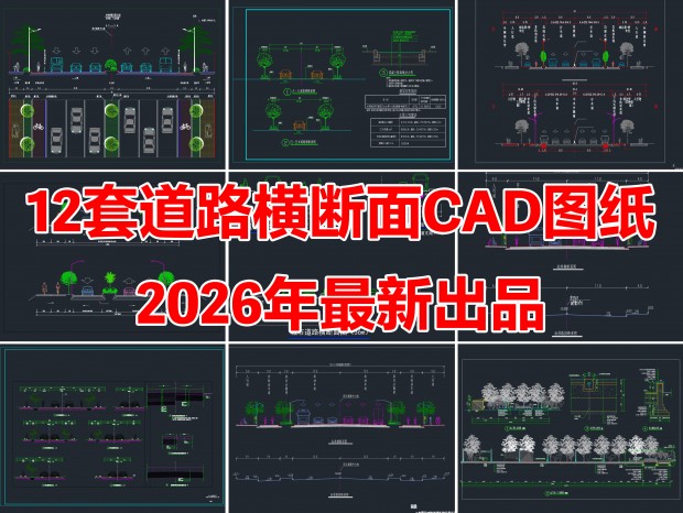 12�׵�·�����CAD��·�����CAD��·����ͼCAD��·����ͼCAD���е�·��׼�̻�����ͼ