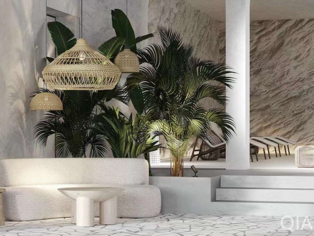 �Ƶ����Ȫ�ۺ���ĸ������